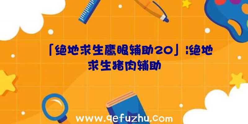 「绝地求生鹰眼辅助20」|绝地求生猪肉辅助